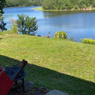 TheSqueakyGoose's profile picture. I know more today than I did yesterday but less than I will know tomorrow.