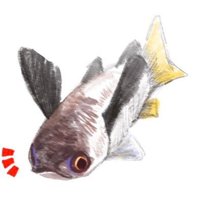 マツダケン@4/30〜5/5 銀座三越 (@keso901005) / X マツダケン@4/30〜5/5 銀座三越 (@keso901005) / X