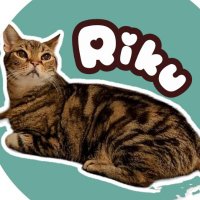 森/西立野🐾Riku🐱猫介護ᗢ (@meimorisaki) Twitter profile photo