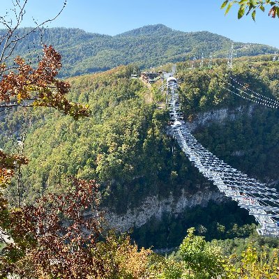 BarbaraSha90713's profile picture. Hi,how are you