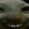 ojmayaz's profile picture. proud re/tard
onions are my employer's.