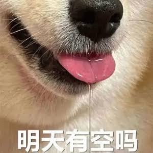 Hodonyo's profile picture. 