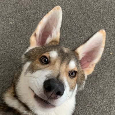 Cshazer128247's profile picture. 