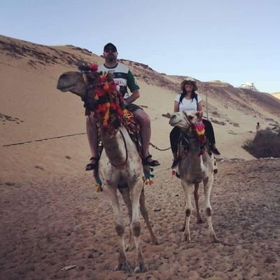 marcelov8martin's profile picture. Piscolero, hincha de Deportes Temuco. Amante de los viajes, libros y el Rock.