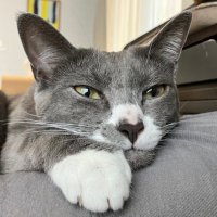funare (@funare4) 's Twitter Profile