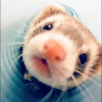 seek (@cryingliquid) Twitter profile photo