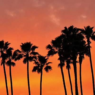 luocr7's profile picture. 