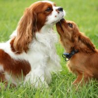 Lola (@lol29419) 's Twitter Profile Photo Lola (@lol29419) 's Twitter Profile Photo