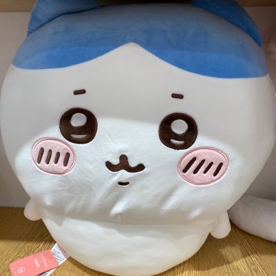 u5q189486's profile picture. 