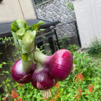 achar (@20100201achar) Twitter profile photo
