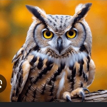 Eziuba_Sinachi's profile picture. 