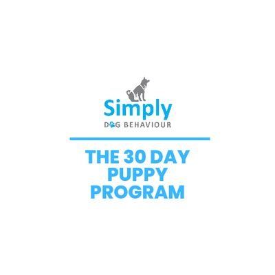 @30DayPuppyPlan