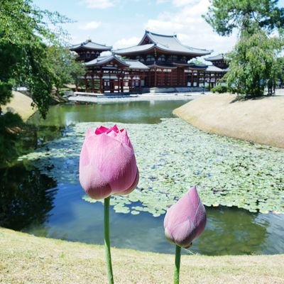 ゆいかずさんのプロフィール画像