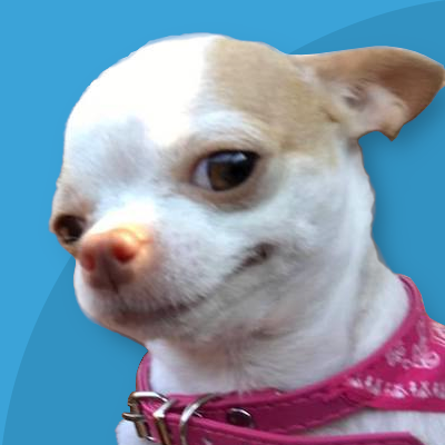 VXforAll's profile picture. Européen fanatique, islamophobe, pour la barbarie, la guerre totale, et qu'on prenne aux pauvres pour donner aux riches. #MixedPoliticalArts #ΕΥΘΥΡΡΗΜΟΣΥΝΗ