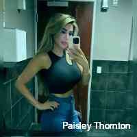 paislelythornt's profile picture. ☾ ⋆*･ﾟ02-22-23 :⋆*🪷