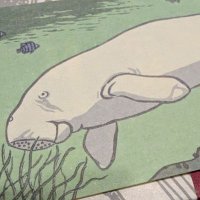 ゆずまるですが早い者勝ちです！ みつけて楽しい！ まちがいさがしフレンズ 2020年11月号