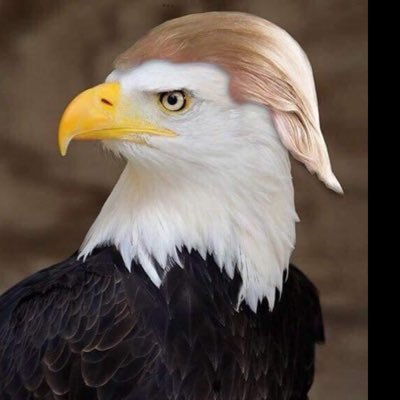 MsLoriLove's profile picture. Goddess. Belly Dance Extraordinaire. Fire Muse.