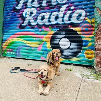 Organic Apple Radio Profile