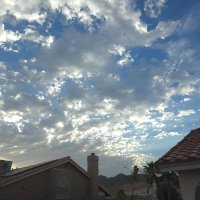 Dem (@moonlightbeac) 's Twitter Profile Photo