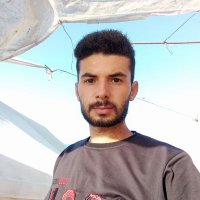Diaa Insiew 🇵🇸❤️ (@diaa_ensiew) Twitter profile photo