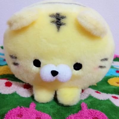 みんとてぃー ミント 🐣🐣🐣 (@mintolove3227) / Posts / X