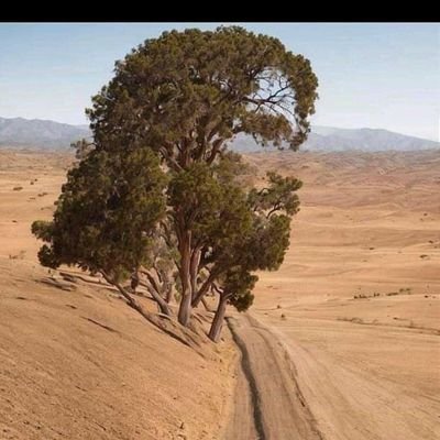 ThisIsJaymo's profile picture. YOU FOLLOW....I FOLLOW BACK IMMEDIATELY 🙏

Ain't no Question of What If!
Engineer's Creed is a policy paper😍
Calculus enthusiast~I'm jst free style