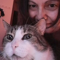 enrica (@enricamaurizia) 's Twitter Profile Photo enrica (@enricamaurizia) 's Twitter Profile Photo