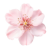 ⨾༊ (@eirffel) Twitter profile photo ⨾༊ (@eirffel) Twitter profile photo