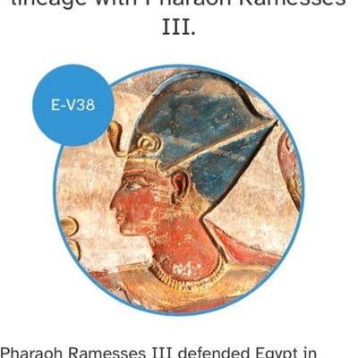 مشروع السلالة e-v38 للقبائل العربية
صفحة مهتمة بتفرعين المؤسسين E-M2 & E-M329 و تفرعاتهم https://t.co/cw84RfBK1H