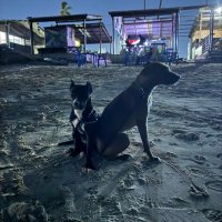 Hamzito (@hamtweezy) 's Twitter Profile