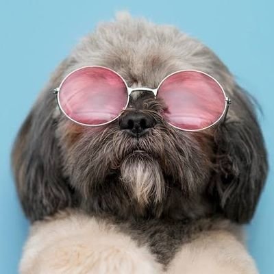 AwwsomeZone's profile picture. Sharing the weird, wonderful & random corners of the internet. You never know what you'll find!