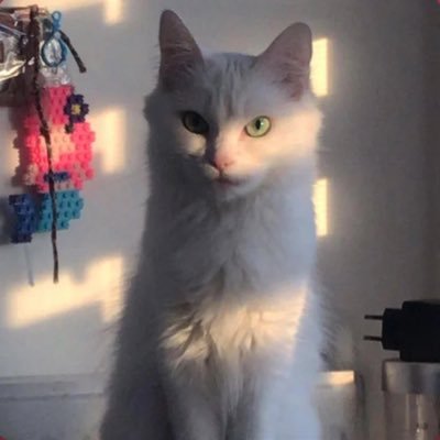 _A0da_'s profile picture. VRC user u can add me  ¸±Aøda±¸