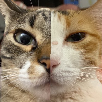 rayamacuin's profile picture. voy con el tiempo siempre a la mitad