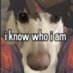 vin (@chromfsmash) Twitter profile photo vin (@chromfsmash) Twitter profile photo