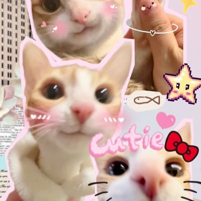 maUotrUf5960581's profile picture. ….