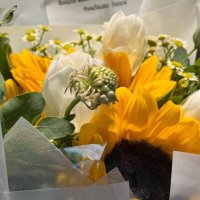 Sunflower (@sunflforting) 's Twitter Profile