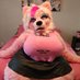 💖BimboPupFifi 💖 LVFC/FWA (@bimbopupfifi) Twitter profile photo 💖BimboPupFifi 💖 LVFC/FWA (@bimbopupfifi) Twitter profile photo