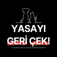 Yatirım-Bilgi (@bilgiyatirim20) Twitter profile photo