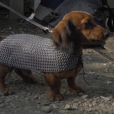 KoepsellKe82021's profile picture. 