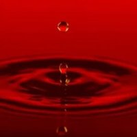 Waterdisport 🇺🇸 (@watrdi) 's Twitter Profile Photo Waterdisport 🇺🇸 (@watrdi) 's Twitter Profile Photo