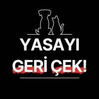 nurun-patisleri (@nurvepatisleri) Twitter profile photo