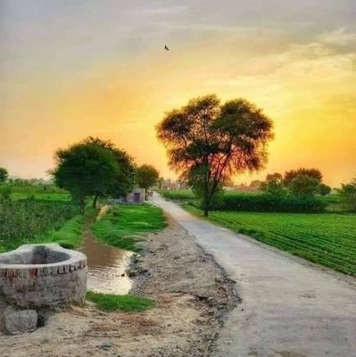 Mudassarbuzdar's profile picture.