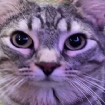 Tylerbf263's profile picture. 