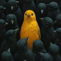🕊أم سيد اسم الله عليها 🤫🤗 (@sayed2ya2sayed) 's Twitter Profile