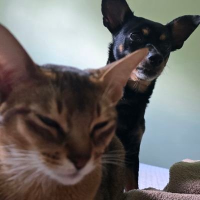 axxessdenied's profile picture. this place is weird