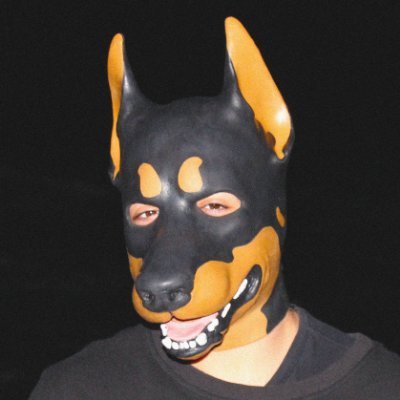 LORD_DOBERMAN's profile picture. (NOT A PETPLAYER!)20/Bi/UK/Dog with DID/ Just a shoegaze dog making indie rock & shoegaze!🐺/ #Indie #indierock  #drone #Shoegaze #DreamPop #LORDDOBERMAN