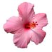 your.positive.corner (@your_pos_corner) Twitter profile photo your.positive.corner (@your_pos_corner) Twitter profile photo