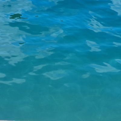 𝒟𝒾𝒶𝓃𝑒.さんのプロフィール画像