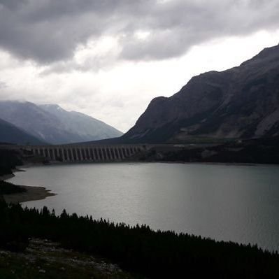 paolobura1's profile picture. 