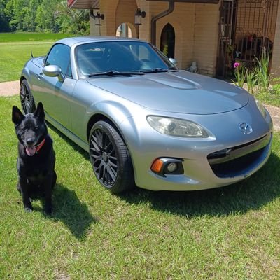 Deanie283871482's profile picture. 